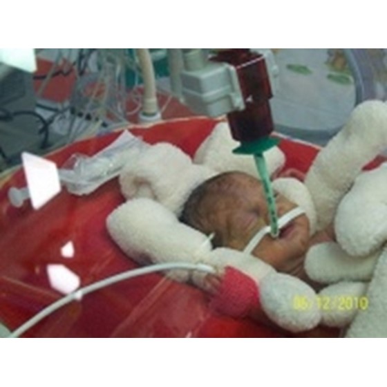 Terezka Hartingerová