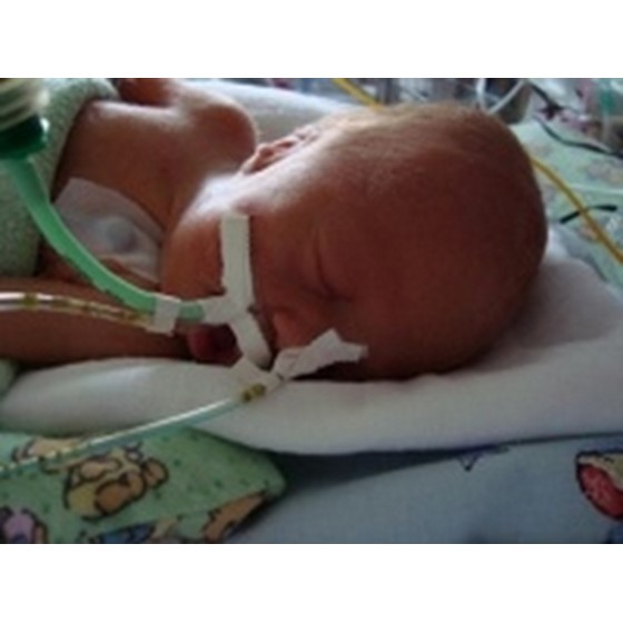 Mareček Laštovička