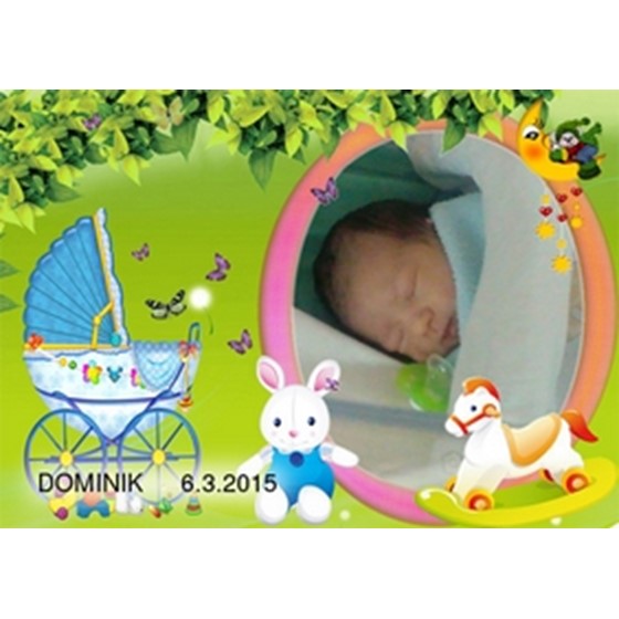 Dominik Ploch