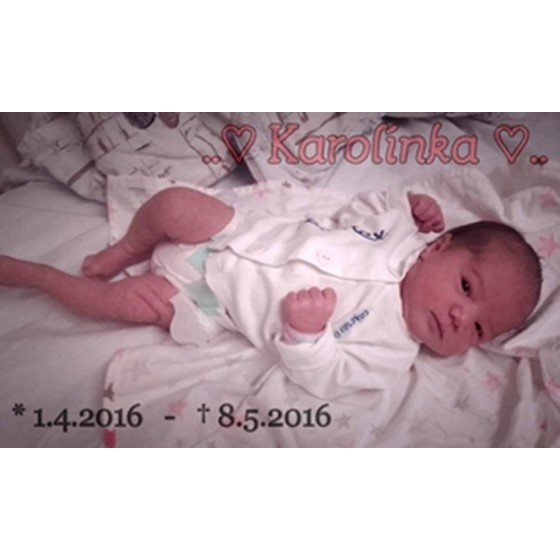 Karolína Pejchalová